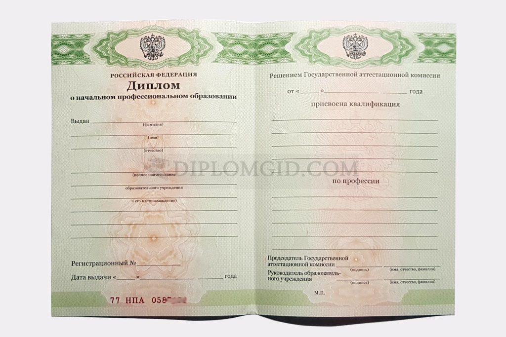 диплом о начальном профессиональном образовании кинолога